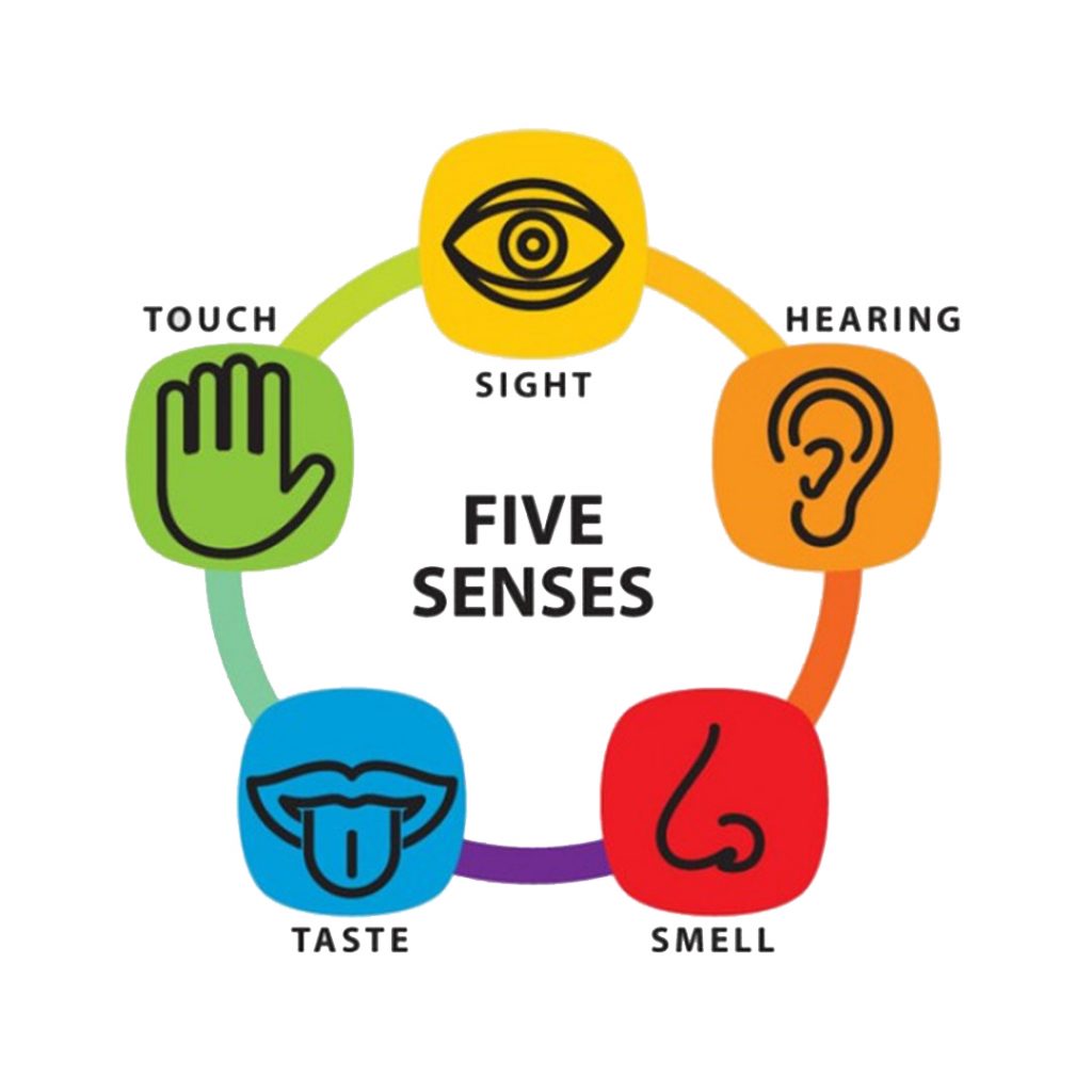 Grounding Techniques with Five Senses